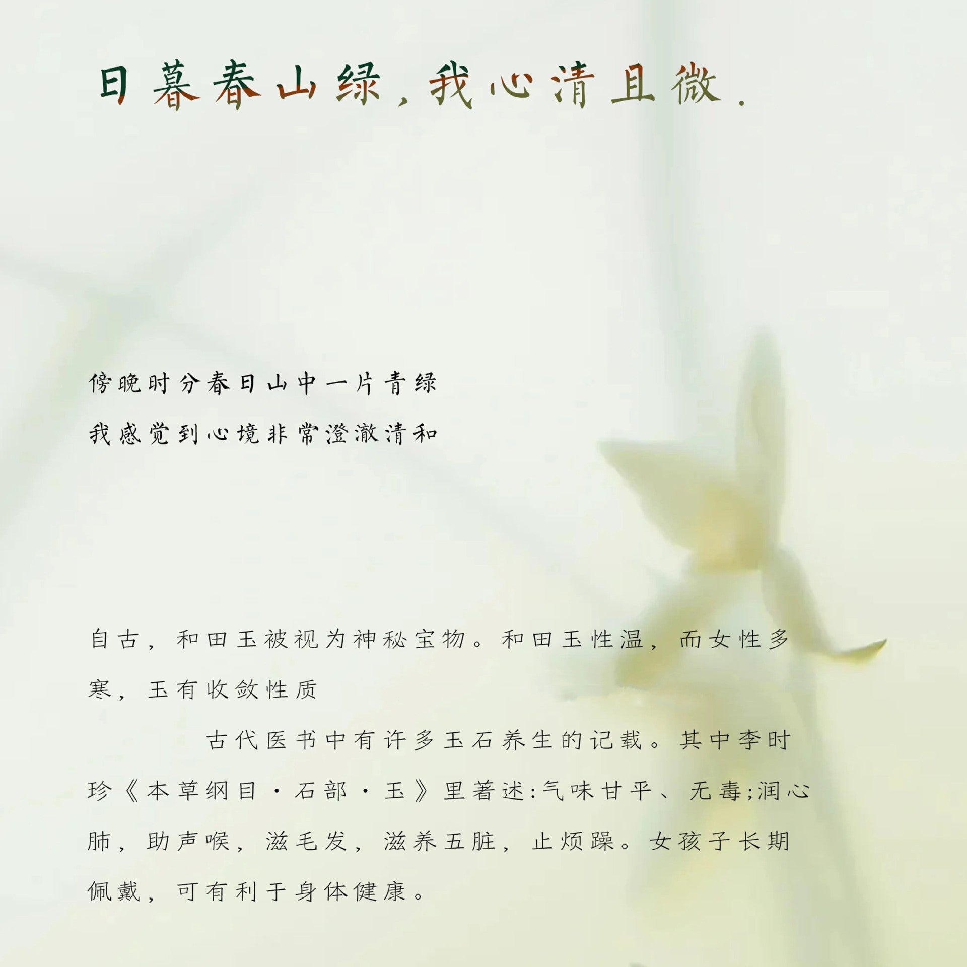 83c97d50-698a-4861-ae9b-a3d94d25680a